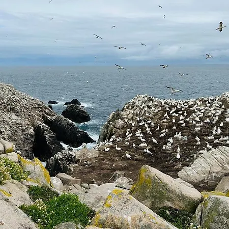 Frühstückspension Quay House Wexford