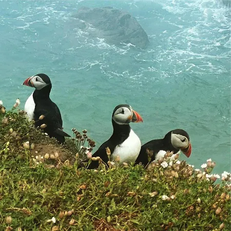 Frühstückspension Quay House 4*