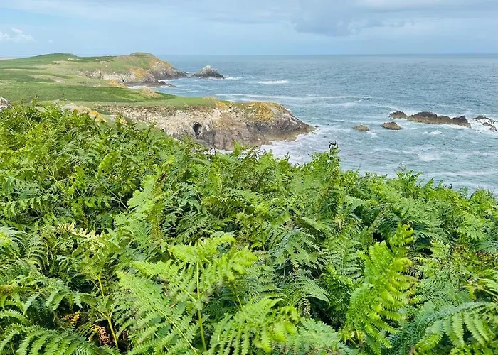 Nocleg ze śniadaniem Quay House 4*