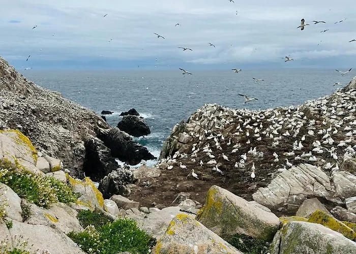 Bed & Breakfast Quay House Wexford