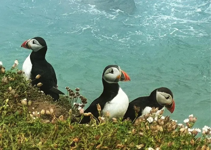 Nocleg ze śniadaniem Quay House 4*