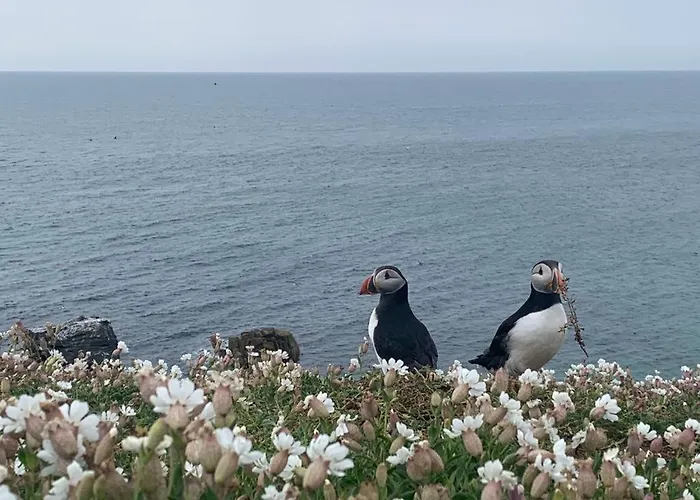 Nocleg ze śniadaniem Quay House 4*